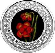 Canada 3 Dollars Newfoundland and Labrador. Pitcher Plant 2020  coin reverse Canada 3 Dollars Newfoundland and Labrador. Pitcher Plant 2020  coin reverse