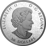 Canada 30 Dollars Canadian Maple Leaves 2020 ELIZABETH II D G REGINA 30 DOLLARS coin obverse Canada 30 Dollars Canadian Maple Leaves 2020 ELIZABETH II D G REGINA 30 DOLLARS coin obverse