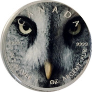 Canada 5 Dollars Snow owl 2019 Proof 9999 9999 CANADA FINE SILVER 1 OZ ARGENT PUR coin reverse Canada 5 Dollars Snow owl 2019 Proof 9999 9999 CANADA FINE SILVER 1 OZ ARGENT PUR coin reverse