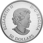 Canada 50 Dollars The Hummingbird and the Bloom 2020 ELIZABETH II D G REGINA 50 DOLLARS coin obverse Canada 50 Dollars The Hummingbird and the Bloom 2020 ELIZABETH II D G REGINA 50 DOLLARS coin obverse