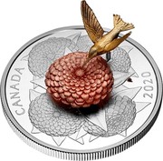 Canada 50 Dollars The Hummingbird and the Bloom 2020 CANADA 2020 coin reverse Canada 50 Dollars The Hummingbird and the Bloom 2020 CANADA 2020 coin reverse