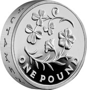 UK One Pound Floral emblems of Northern Ireland 2014 Proof KM# 1284a ONE POUND coin reverse UK One Pound Floral emblems of Northern Ireland 2014 Proof KM# 1284a ONE POUND coin reverse