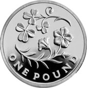 UK One Pound Floral emblems of Northern Ireland (Piedfort) 2014 Proof ONE POUND coin reverse UK One Pound Floral emblems of Northern Ireland (Piedfort) 2014 Proof ONE POUND coin reverse