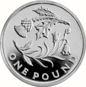 UK One Pound Floral emblems of Scotland. Piedfort 2013 Proof ONE POUND coin reverse UK One Pound Floral emblems of Scotland. Piedfort 2013 Proof ONE POUND coin reverse