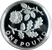 UK Pound Rose and Oak. Piedfort 2013 Proof ONE POUND coin reverse UK Pound Rose and Oak. Piedfort 2013 Proof ONE POUND coin reverse