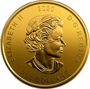 Canada 200 Dollars (Bobcat) ELIZABETH II 2020 D G REGINA 200 DOLLARS coin obverse Canada 200 Dollars (Bobcat) ELIZABETH II 2020 D G REGINA 200 DOLLARS coin obverse