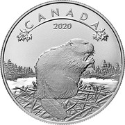 Canada 10 Dollars O Canada! - The Beaver 2020 CANADA 2020 coin reverse Canada 10 Dollars O Canada! - The Beaver 2020 CANADA 2020 coin reverse