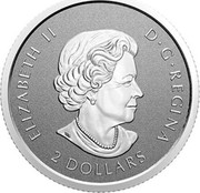 Canada 2 Dollars 25th Anniversary Maple Leaf. Our Arboreal Emblem 2021 ELIZABETH II D G REGINA 2 DOLLARS coin obverse Canada 2 Dollars 25th Anniversary Maple Leaf. Our Arboreal Emblem 2021 ELIZABETH II D G REGINA 2 DOLLARS coin obverse