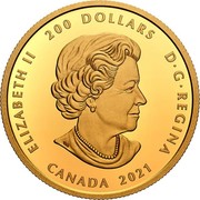 Canada 200 Dollars Relics of New France: Louis XIV 30 Deniers 2021 ELIZABETH II 200 DOLLARS D G REGINA CANADA 2021 coin obverse Canada 200 Dollars Relics of New France: Louis XIV 30 Deniers 2021 ELIZABETH II 200 DOLLARS D G REGINA CANADA 2021 coin obverse
