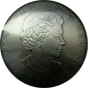 Canada 25 Dollars The Library of Parliament. Piedfort 2016 Proof KM# 2219 ELIZABETH II D G REGINA 25 DOLLARS coin obverse Canada 25 Dollars The Library of Parliament. Piedfort 2016 Proof KM# 2219 ELIZABETH II D G REGINA 25 DOLLARS coin obverse