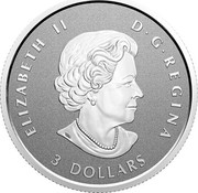 Canada 3 Dollars 25th Anniversary Maple Leaf. Our Arboreal Emblem 2021 ELIZABETH II D G REGINA 3 DOLLARS coin obverse Canada 3 Dollars 25th Anniversary Maple Leaf. Our Arboreal Emblem 2021 ELIZABETH II D G REGINA 3 DOLLARS coin obverse