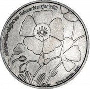 Portugal 5 Euro Alcar from Algarve 2019 ALCAR DO AIGARVE TUBERARIA MAJOR coin reverse
