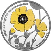 Portugal 5 Euro Alcar from Algarve 2019 INCM Proof ALCAR DO AIGARVE TUBERARIA MAJOR coin reverse