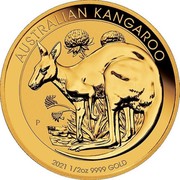Australia 50 Dollars Kangaroo 2021 P AUSTRALIAN KANGAROO 2021 1/2 OZ 9999 GOLD coin reverse Australia 50 Dollars Kangaroo 2021 P AUSTRALIAN KANGAROO 2021 1/2 OZ 9999 GOLD coin reverse