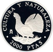 Spain 2000 Pesetas Capercaillie 1995 Proof KM# 953 CULTURA Y NATURALEZA M 2000 PTAS coin reverse