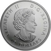 Canada 10 Dollars Common Loon 2017 Matte Proof ELIZABETH II D ∙ G ∙ REGINA 10 DOLLARS coin obverse Canada 10 Dollars Common Loon 2017 Matte Proof ELIZABETH II D ∙ G ∙ REGINA 10 DOLLARS coin obverse