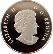 Canada 10 Dollars The Canadian Cowboy 2014 Matte Proof KM# 1917.1 ELIZABETH II D ∙ G ∙ REGINA coin obverse Canada 10 Dollars The Canadian Cowboy 2014 Matte Proof KM# 1917.1 ELIZABETH II D ∙ G ∙ REGINA coin obverse