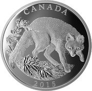 Canada 125 Dollars Conservation Series - The Grey Fox 2015 Proof KM# 2053 CANADA 2015 coin reverse Canada 125 Dollars Conservation Series - The Grey Fox 2015 Proof KM# 2053 CANADA 2015 coin reverse