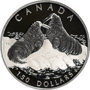 Canada 150 Dollars Atlantic Walrus 2003 Proof KM# 1103 CANADA 150 DOLLARS coin reverse