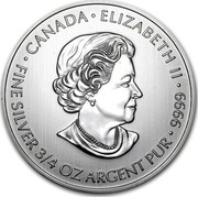 Canada 2 Dollars Devil's Brigade 2013  ∙ CANADA ∙ ELIZABETH II ∙ FINE SILVER 3/4 OZ ARGENT PUR ∙ 9999 coin obverse