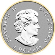 Canada 2 Dollars Two Maple Leaf 2014 KM# 1594 ELIZABETH II D G REGINA 2 DOLLARS coin obverse Canada 2 Dollars Two Maple Leaf 2014 KM# 1594 ELIZABETH II D G REGINA 2 DOLLARS coin obverse