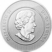Canada 20 Dollars Bobcat 2014 KM# 1562 ELIZABETH II D∙G∙REGINA coin obverse Canada 20 Dollars Bobcat 2014 KM# 1562 ELIZABETH II D∙G∙REGINA coin obverse