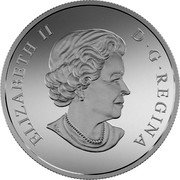Canada 200 Dollars Canada's Icy Arctic 2016 Matte Proof KM# 2252 ELIZABETH II D∙G∙REGINA coin obverse Canada 200 Dollars Canada's Icy Arctic 2016 Matte Proof KM# 2252 ELIZABETH II D∙G∙REGINA coin obverse