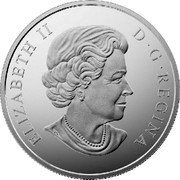 Canada 200 Dollars Coastal Waters of Canada 2015 Matte Proof KM# 1878 ELIZABETH II D ∙ G ∙ REGINA coin obverse Canada 200 Dollars Coastal Waters of Canada 2015 Matte Proof KM# 1878 ELIZABETH II D ∙ G ∙ REGINA coin obverse