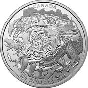 Canada 200 Dollars Coastal Waters of Canada 2015 Matte Proof KM# 1878 CANADA 200 DOLLARS 2015 coin reverse Canada 200 Dollars Coastal Waters of Canada 2015 Matte Proof KM# 1878 CANADA 200 DOLLARS 2015 coin reverse