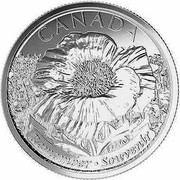 Canada 25 Cents Remembrance 2015 KM# 1852.1 CANADA REMEMBER ∙ SOUVENIR coin reverse Canada 25 Cents Remembrance 2015 KM# 1852.1 CANADA REMEMBER ∙ SOUVENIR coin reverse