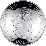 Canada 25 Dollars A View of Canada From Space 2017 Proof ELIZABETH II D ∙ G ∙ REGINA 25 DOLLARS coin obverse Canada 25 Dollars A View of Canada From Space 2017 Proof ELIZABETH II D ∙ G ∙ REGINA 25 DOLLARS coin obverse