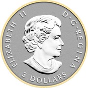 Canada 3 Dollars Two Maple Leaf 2014 KM# 1595 ELIZABETH II D G REGINA 3 DOLLARS coin obverse Canada 3 Dollars Two Maple Leaf 2014 KM# 1595 ELIZABETH II D G REGINA 3 DOLLARS coin obverse