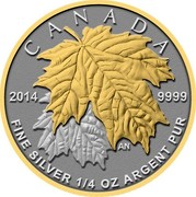 Canada 3 Dollars Two Maple Leaf 2014 KM# 1595 CANADA 2014 9999 FINE SILVER 1/4 OZ ARGENT PUR coin reverse Canada 3 Dollars Two Maple Leaf 2014 KM# 1595 CANADA 2014 9999 FINE SILVER 1/4 OZ ARGENT PUR coin reverse