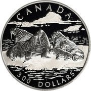 Canada 300 Dollars Atlantic Walrus 2003 Proof KM# 1104 CANADA 300 DOLLARS coin reverse