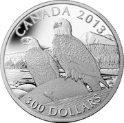 Canada 300 Dollars Eagle 2013 KM# 1391 CANADA 2013 300 DOLLARS CD coin reverse Canada 300 Dollars Eagle 2013 KM# 1391 CANADA 2013 300 DOLLARS CD coin reverse