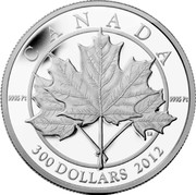 Canada 300 Dollars Maple Leaf Forever 2012 Proof KM# 1273 CANADA 9995 PT 9995 PT 300 DOLLARS 2012 LN coin reverse