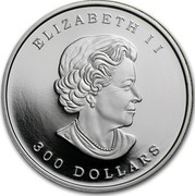 Canada 300 Dollars Maple Leaf Forever 2014 Proof ELIZABETH II 300 DOLLARS coin obverse