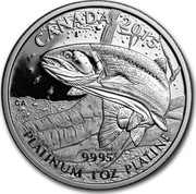 Canada 300 Dollars Rainbow Trout 2015 Proof KM# 2065 CANADA 2015 CA 9995 PLATINUM 1 OZ PLATINUM coin reverse Canada 300 Dollars Rainbow Trout 2015 Proof KM# 2065 CANADA 2015 CA 9995 PLATINUM 1 OZ PLATINUM coin reverse