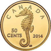 Canada 50 Cents Sea Creatures. Seahorse 2014 Proof KM# 1634 CANADA 50 CENTS coin reverse Canada 50 Cents Sea Creatures. Seahorse 2014 Proof KM# 1634 CANADA 50 CENTS coin reverse