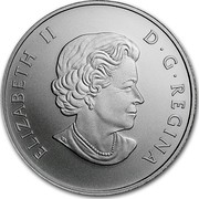 Canada 50 Dollars Arctic Hare Snowshoe Rabbit 2016 Matte proof KM# 2229 ELIZABETH II D ∙ G ∙ REGINA coin obverse Canada 50 Dollars Arctic Hare Snowshoe Rabbit 2016 Matte proof KM# 2229 ELIZABETH II D ∙ G ∙ REGINA coin obverse