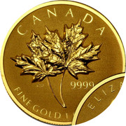 Canada 50 Dollars Two maple leaves 2013 KM# 1414 CANADA 9999 FINE GOLD 1 OZ OR PUR coin reverse