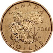 Canada Dollar Great Grey Owl 2011 Prooflike KM# 1086 CANADA 2011 AN DOLLAR coin reverse Canada Dollar Great Grey Owl 2011 Prooflike KM# 1086 CANADA 2011 AN DOLLAR coin reverse