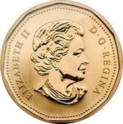 Canada Dollar Hawk 2014 KM# 1627 ELIZABETH II D G REGINA SB coin obverse Canada Dollar Hawk 2014 KM# 1627 ELIZABETH II D G REGINA SB coin obverse