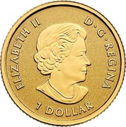 Canada Dollar Maple Leaf 2015 Proof KM# 1801 ELIZABETH II D G REGINA 1 DOLLAR coin obverse Canada Dollar Maple Leaf 2015 Proof KM# 1801 ELIZABETH II D G REGINA 1 DOLLAR coin obverse