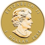 Canada Dollar Maple Leaf Gold 2014 Proof KM# 1703 ELIZABETH II 1 DOLLAR 2014 coin obverse Canada Dollar Maple Leaf Gold 2014 Proof KM# 1703 ELIZABETH II 1 DOLLAR 2014 coin obverse