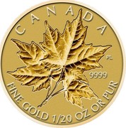 Canada Dollar Maple Leaf Gold 2014 Proof KM# 1703 CANADA 9999 FINE GOLD 1/20 OZ OR PUR coin reverse Canada Dollar Maple Leaf Gold 2014 Proof KM# 1703 CANADA 9999 FINE GOLD 1/20 OZ OR PUR coin reverse