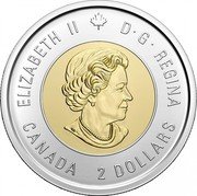 Canada 2 Dollars 100th anniversary of the discovery of insulin 2021 ELIZABETH II D G REGINA SB CANADA 2 DOLLARS coin obverse Canada 2 Dollars 100th anniversary of the discovery of insulin 2021 ELIZABETH II D G REGINA SB CANADA 2 DOLLARS coin obverse