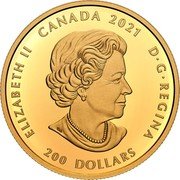 Canada 200 Dollars (Ramming Bighorn Sheep) ELIZABETH II CANADA 2020 D G REGINA 200 DOLLARS coin obverse Canada 200 Dollars (Ramming Bighorn Sheep) ELIZABETH II CANADA 2020 D G REGINA 200 DOLLARS coin obverse