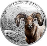 Canada 30 Dollars Imposing Icons. Bighorn Shep 2021 CANADA 30 DOLLARS coin reverse Canada 30 Dollars Imposing Icons. Bighorn Shep 2021 CANADA 30 DOLLARS coin reverse