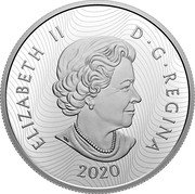 Canada 30 Dollars Imposing Icons. Moose 2021 4 suscription coins ELIZABETH II D G REGINA 2021 coin obverse Canada 30 Dollars Imposing Icons. Moose 2021 4 suscription coins ELIZABETH II D G REGINA 2021 coin obverse